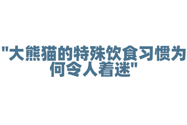 "大熊猫的特殊饮食习惯为何令人着迷"